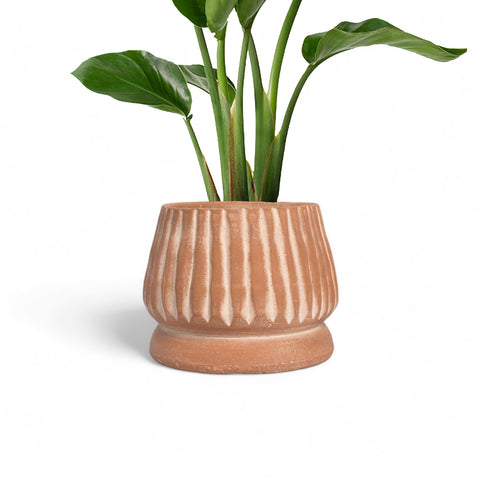 Mateo Terracotta Planter by Diego Olivero Studio